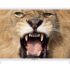Nevir NVR-7412-43HD-N, un televisor de gama media Full HD