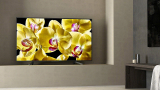 Sony KD-75XG8096, una impresionante pantalla Triluminos con calidad 4K